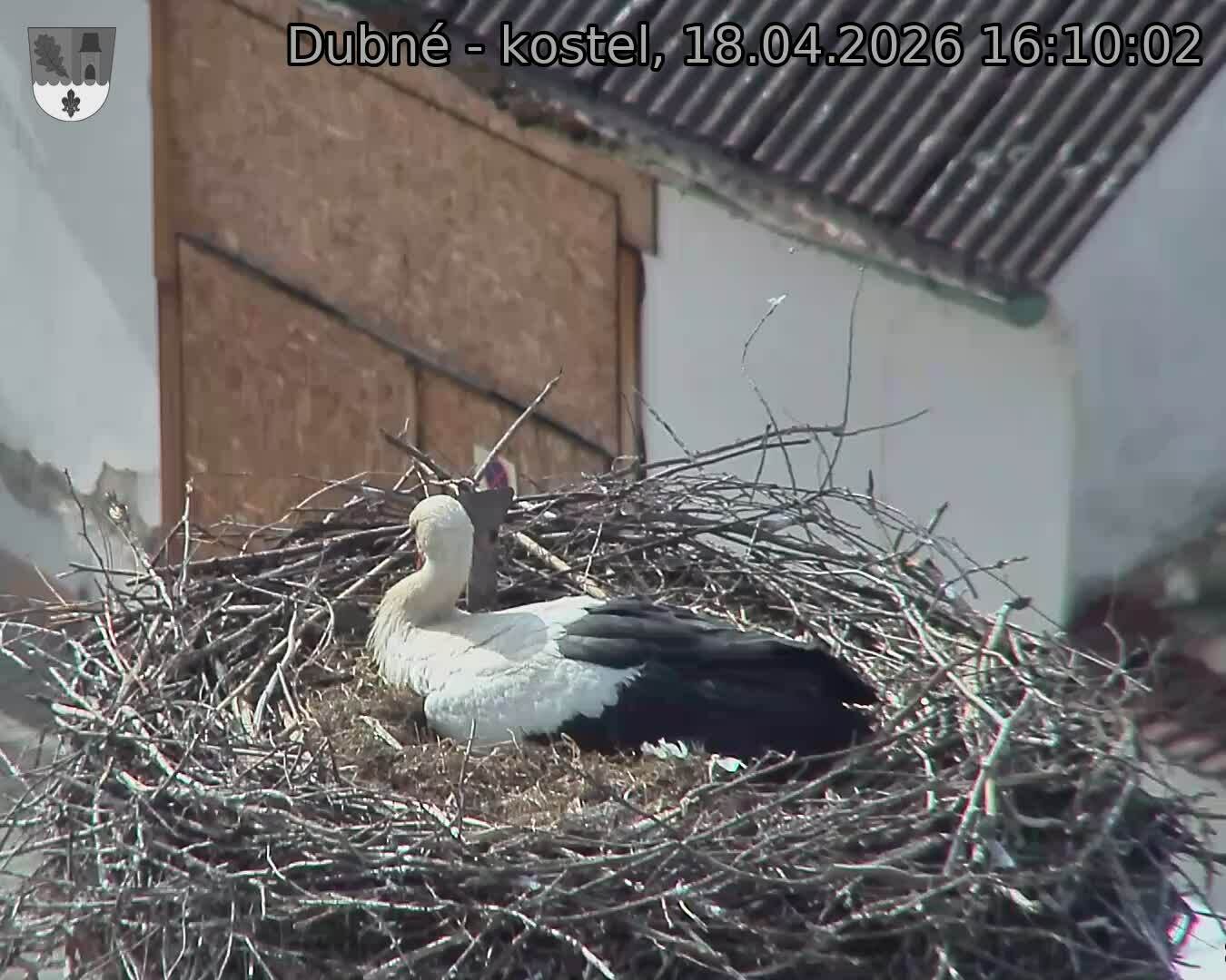 Capi_Dubne_20260418_161002.jpg (1350&nbsp;x&nbsp;1080)