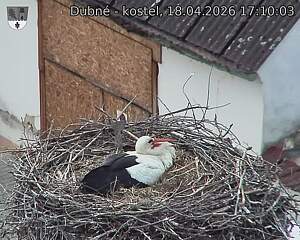 Capi_Dubne_20260418_171003.jpg (1350&nbsp;x&nbsp;1080)