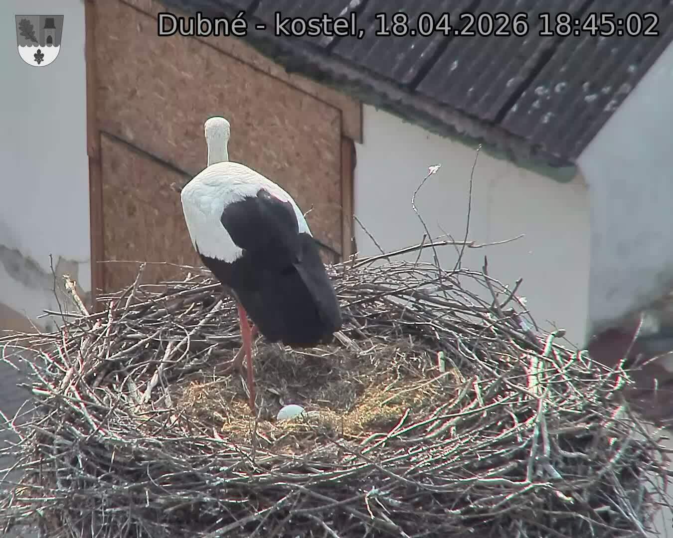 Capi_Dubne_20260418_184503.jpg (1350&nbsp;x&nbsp;1080)