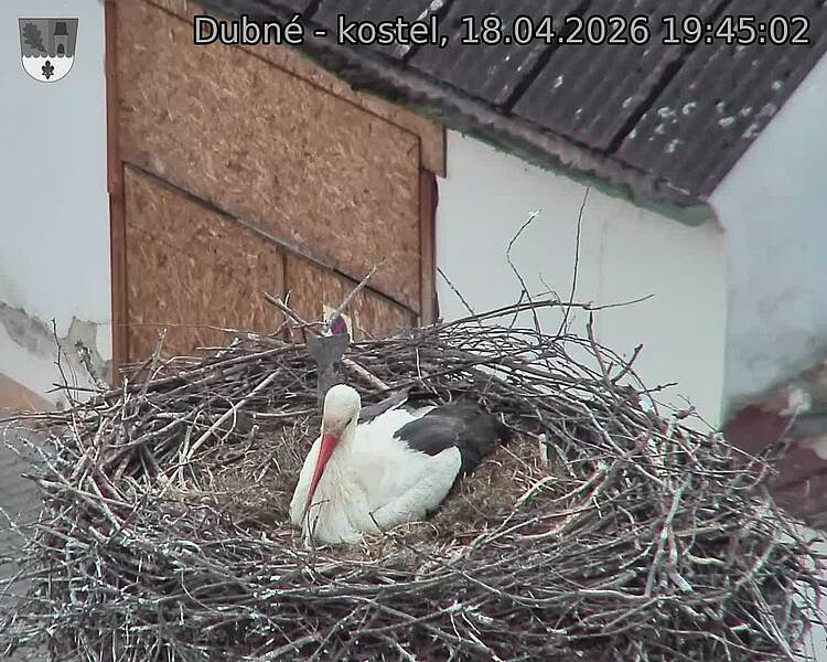 Capi_Dubne_20260418_194502.jpg (1350&nbsp;x&nbsp;1080)