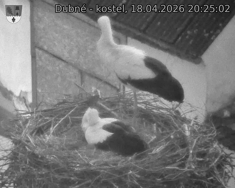 Capi_Dubne_20260418_202502.jpg (1350&nbsp;x&nbsp;1080)