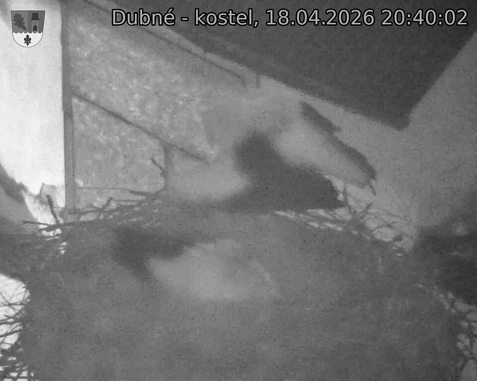 Capi_Dubne_20260418_204002.jpg (1350&nbsp;x&nbsp;1080)