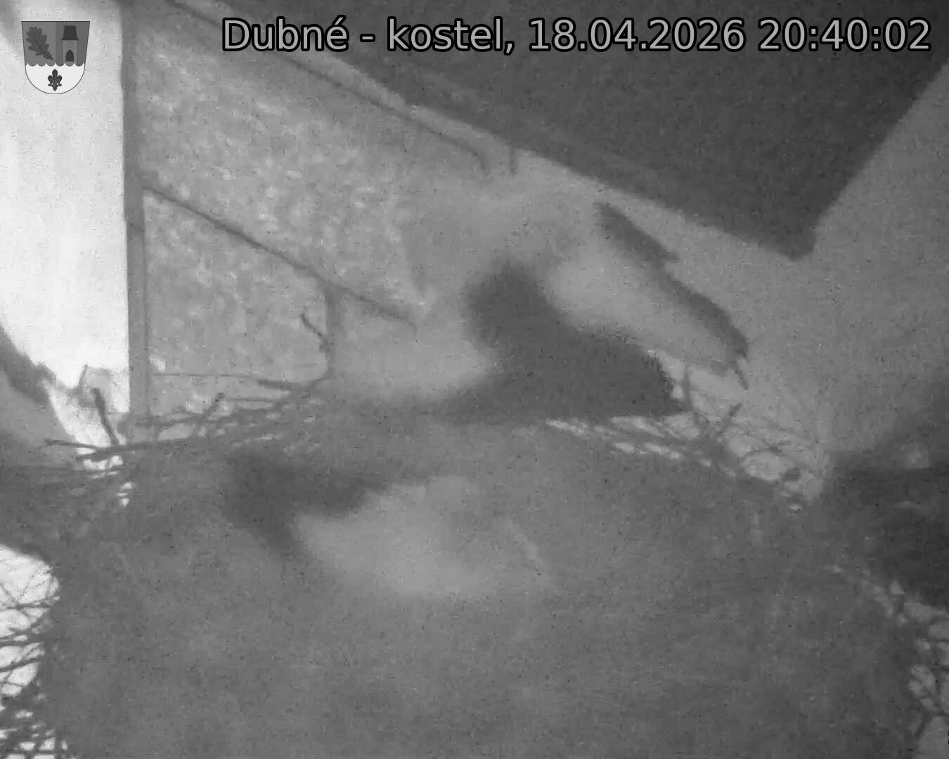 Capi_Dubne_20260418_204002.jpg (1350&nbsp;x&nbsp;1080)