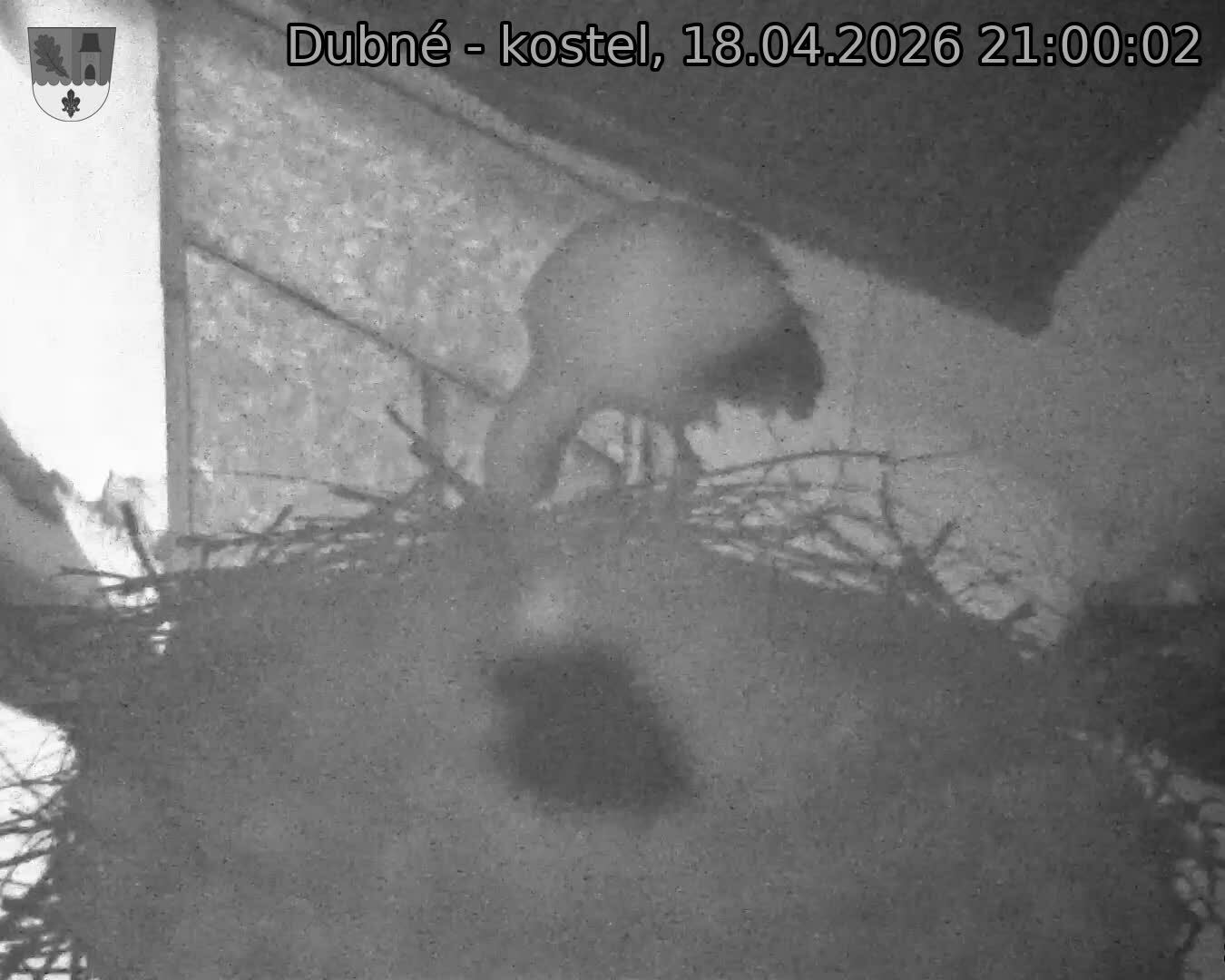 Capi_Dubne_20260418_210002.jpg (1350&nbsp;x&nbsp;1080)