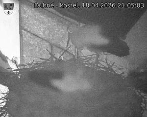 Capi_Dubne_20260418_210503.jpg (1350&nbsp;x&nbsp;1080)