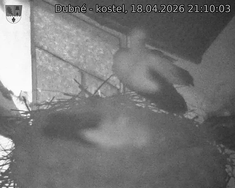 Capi_Dubne_20260418_211003.jpg (1350&nbsp;x&nbsp;1080)