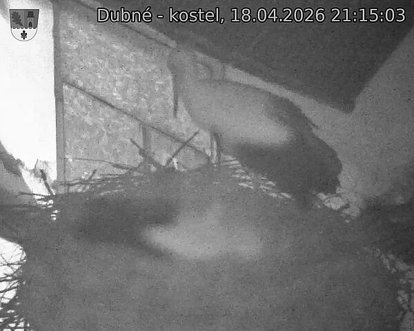 Capi_Dubne_20260418_211503.jpg (1350&nbsp;x&nbsp;1080)