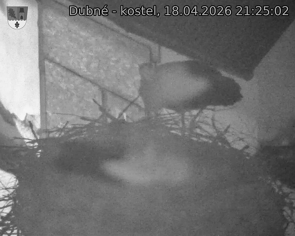 Capi_Dubne_20260418_212502.jpg (1350&nbsp;x&nbsp;1080)