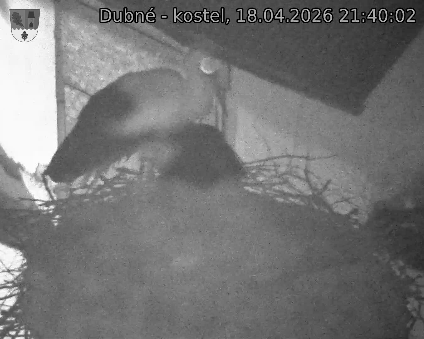 Capi_Dubne_20260418_214002.jpg (1350&nbsp;x&nbsp;1080)