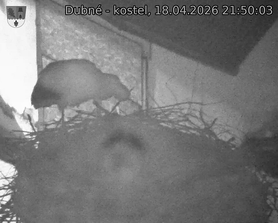Capi_Dubne_20260418_215003.jpg (1350&nbsp;x&nbsp;1080)