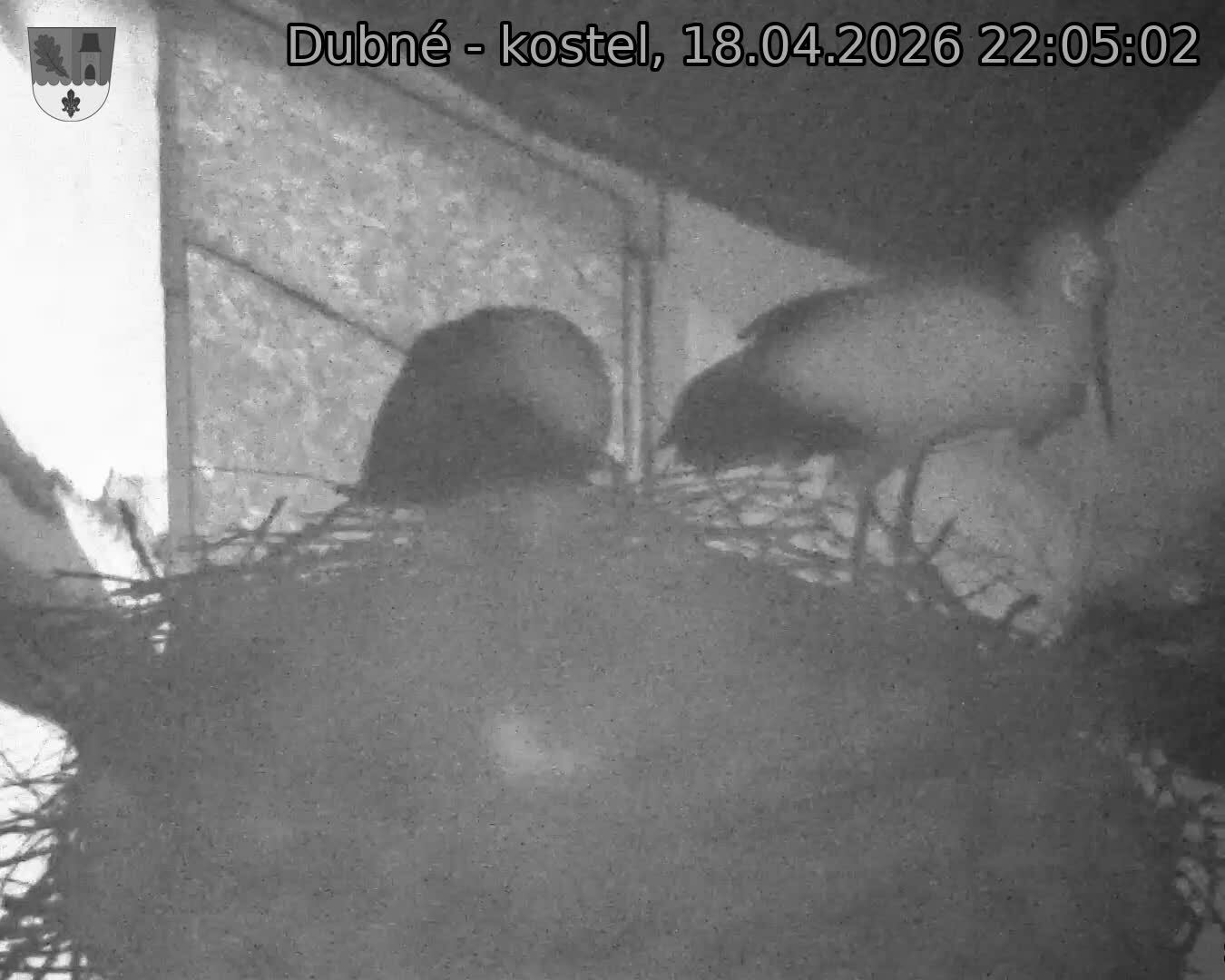 Capi_Dubne_20260418_220502.jpg (1350&nbsp;x&nbsp;1080)