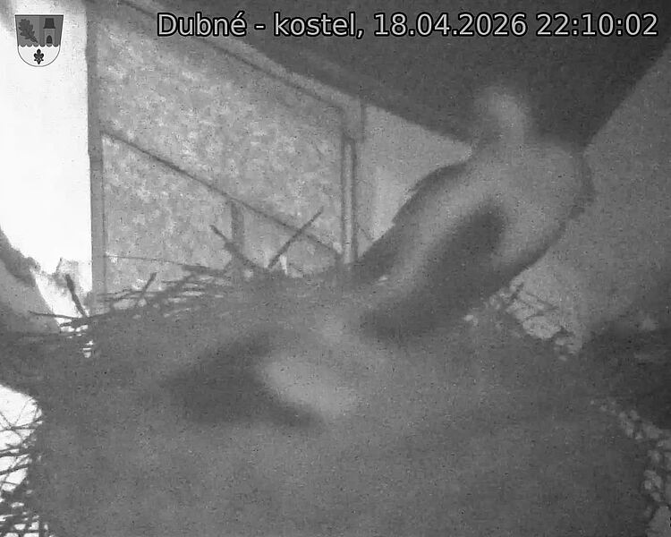 Capi_Dubne_20260418_221002.jpg (1350&nbsp;x&nbsp;1080)