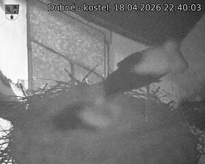 Capi_Dubne_20260418_224003.jpg (1350&nbsp;x&nbsp;1080)