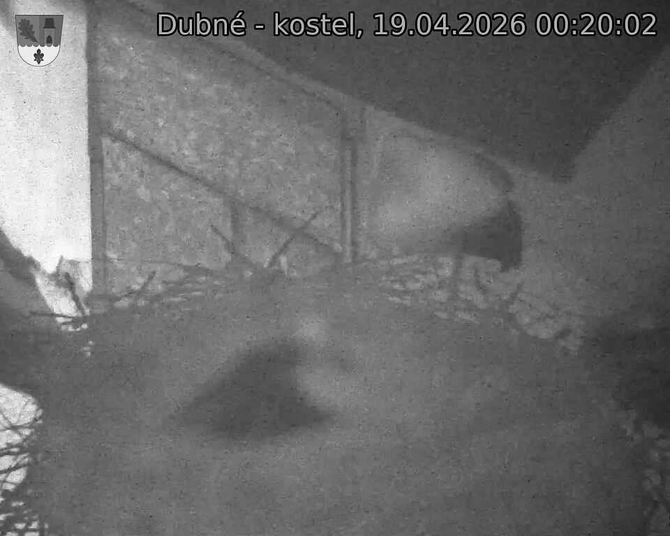 Capi_Dubne_20260419_002002.jpg (1350&nbsp;x&nbsp;1080)