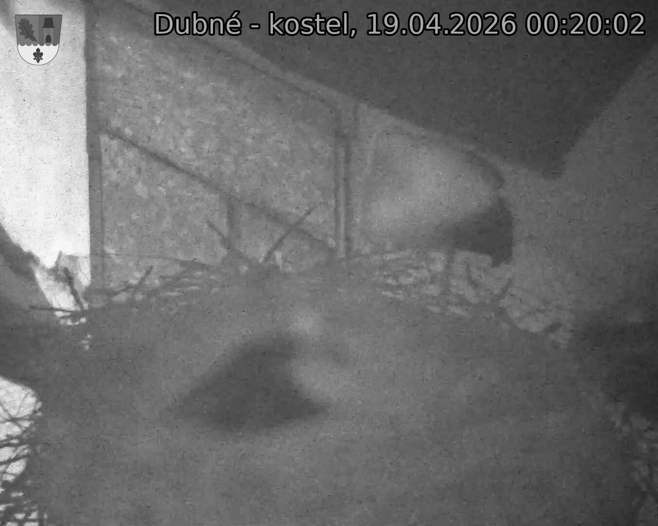 Capi_Dubne_20260419_002002.jpg (1350&nbsp;x&nbsp;1080)