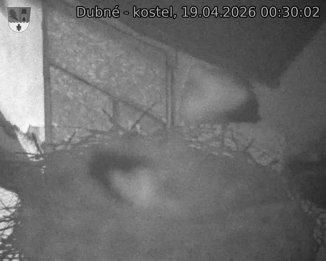 Capi_Dubne_20260419_003002.jpg (1350&nbsp;x&nbsp;1080)