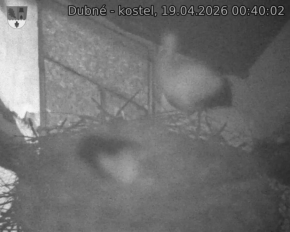 Capi_Dubne_20260419_004002.jpg (1350&nbsp;x&nbsp;1080)