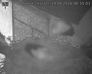 Capi_Dubne_20260419_005503.jpg (1350&nbsp;x&nbsp;1080)