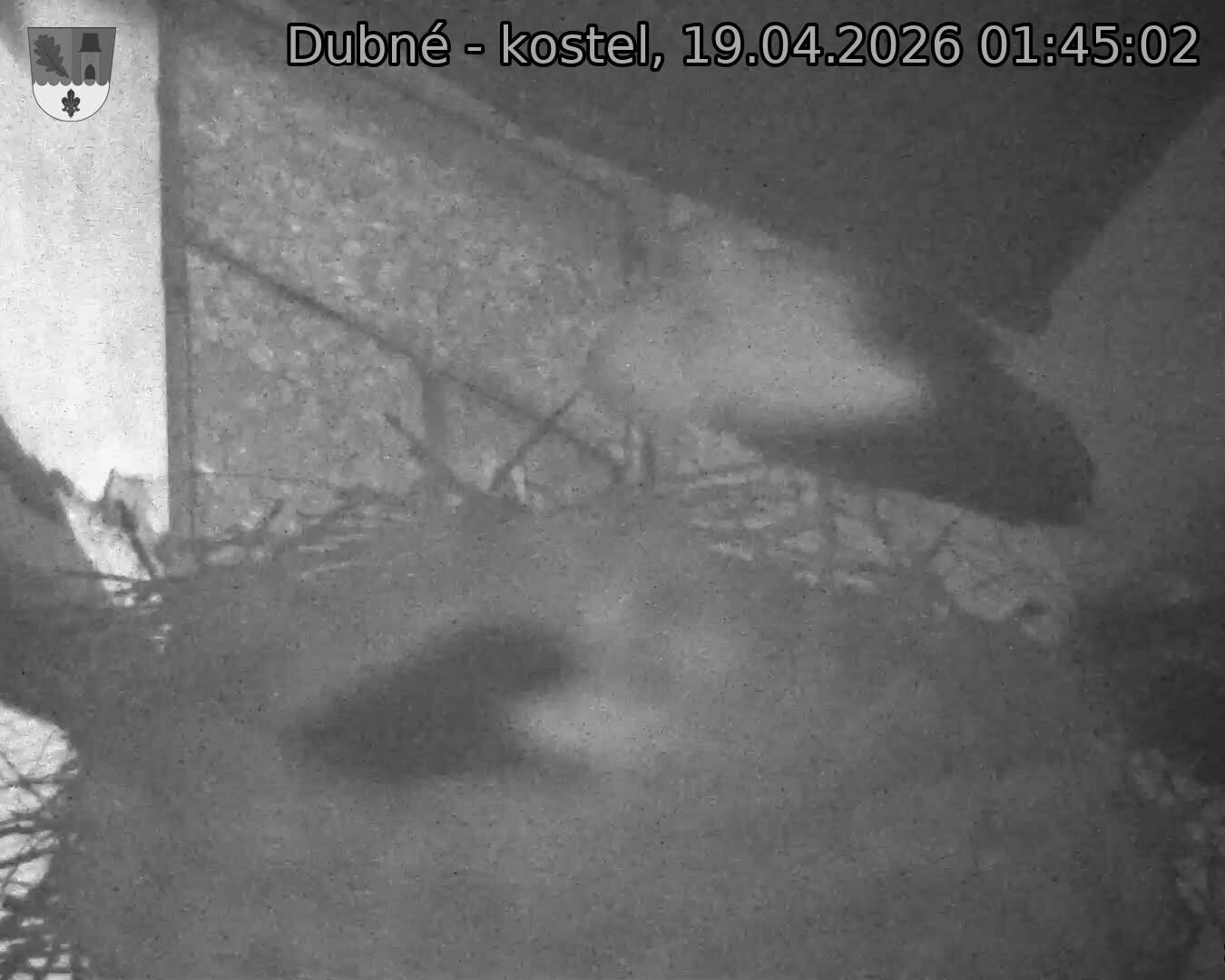 Capi_Dubne_20260419_014502.jpg (1350&nbsp;x&nbsp;1080)
