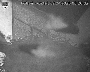 Capi_Dubne_20260419_032002.jpg (1350&nbsp;x&nbsp;1080)