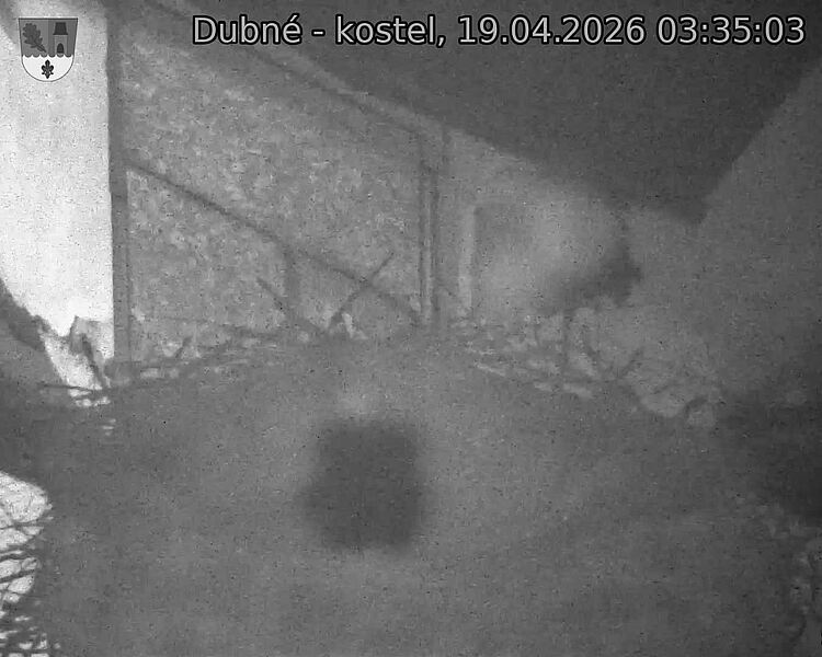 Capi_Dubne_20260419_033503.jpg (1350&nbsp;x&nbsp;1080)
