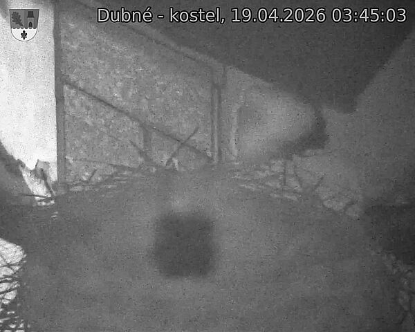 Capi_Dubne_20260419_034503.jpg (1350&nbsp;x&nbsp;1080)