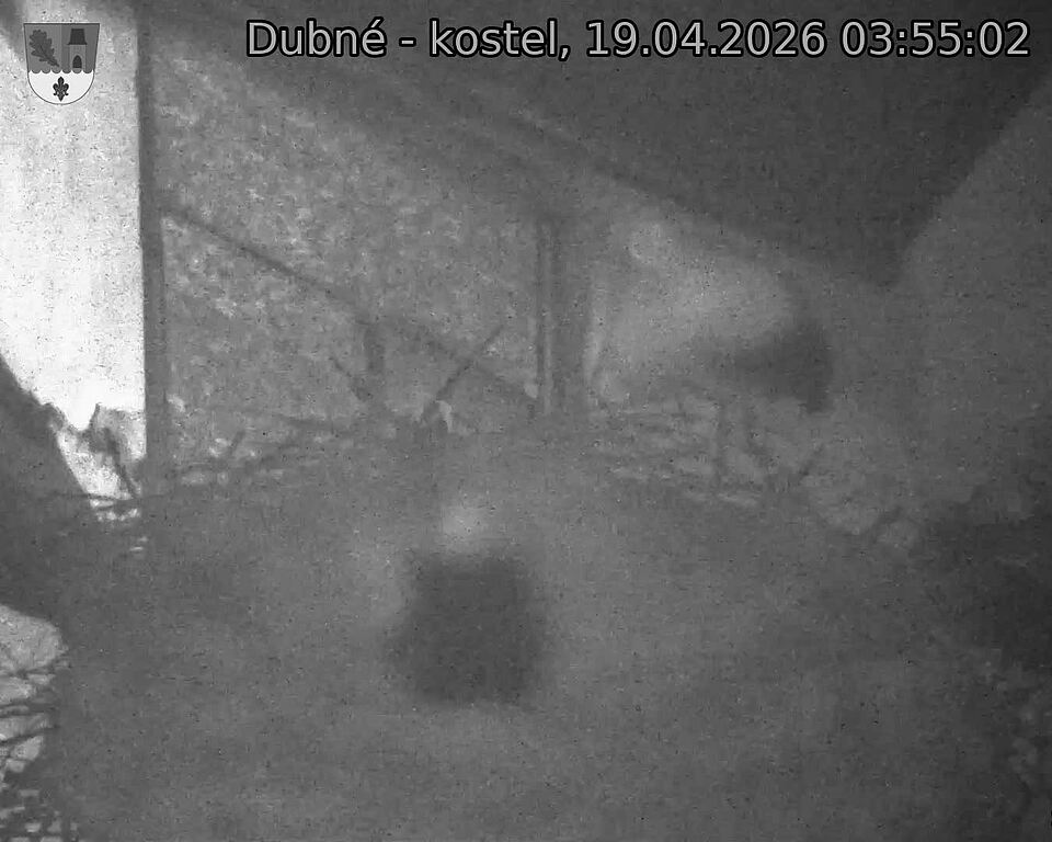 Capi_Dubne_20260419_035502.jpg (1350&nbsp;x&nbsp;1080)