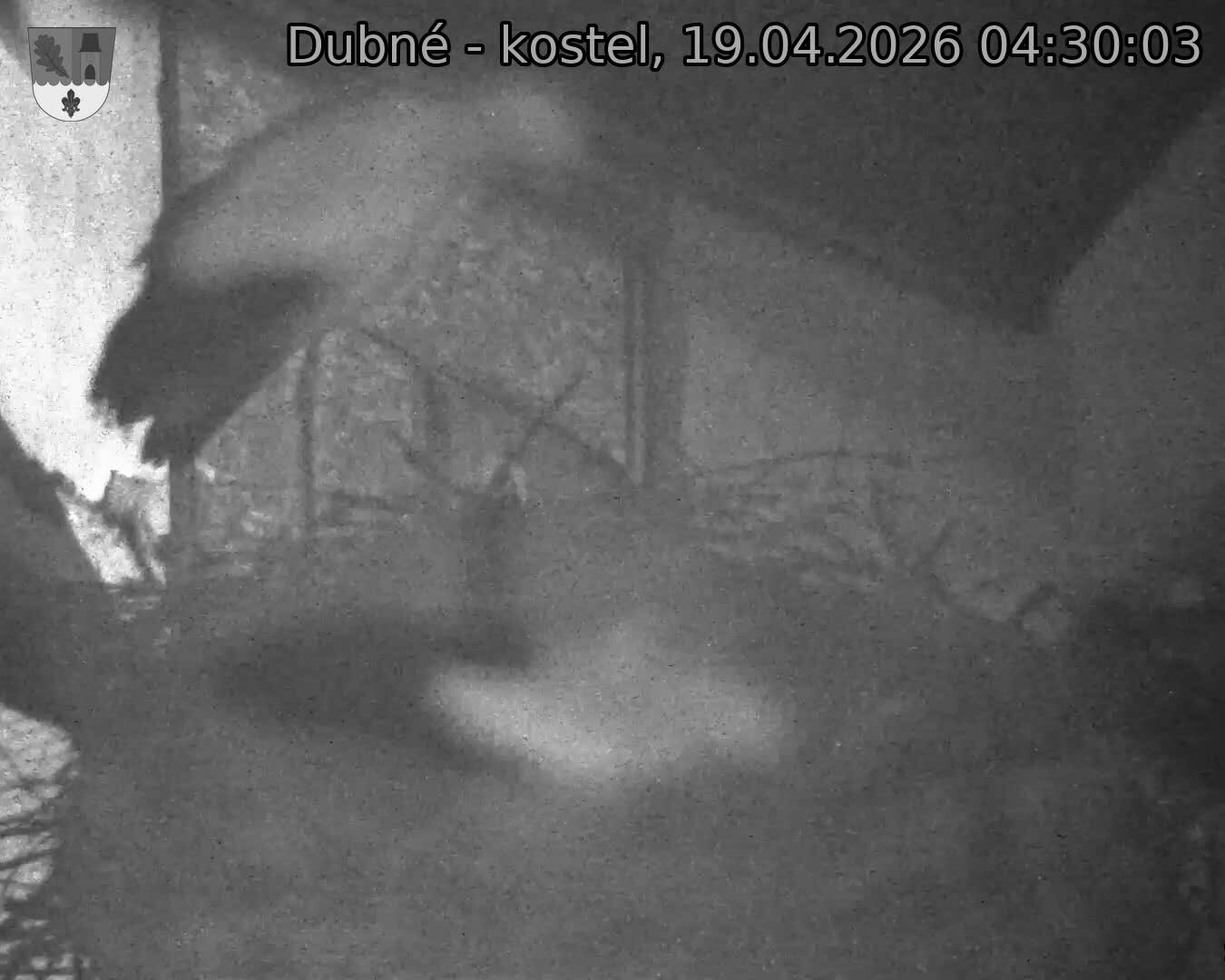 Capi_Dubne_20260419_043003.jpg (1350&nbsp;x&nbsp;1080)