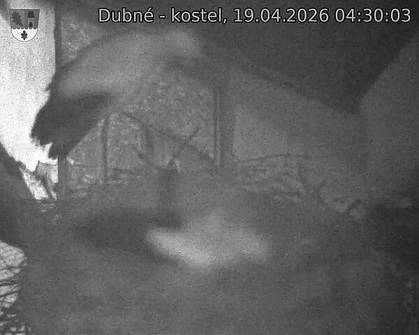Capi_Dubne_20260419_043003.jpg (1350&nbsp;x&nbsp;1080)