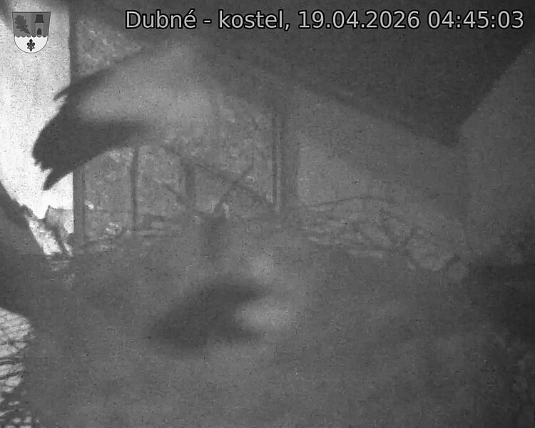 Capi_Dubne_20260419_044503.jpg (1350&nbsp;x&nbsp;1080)