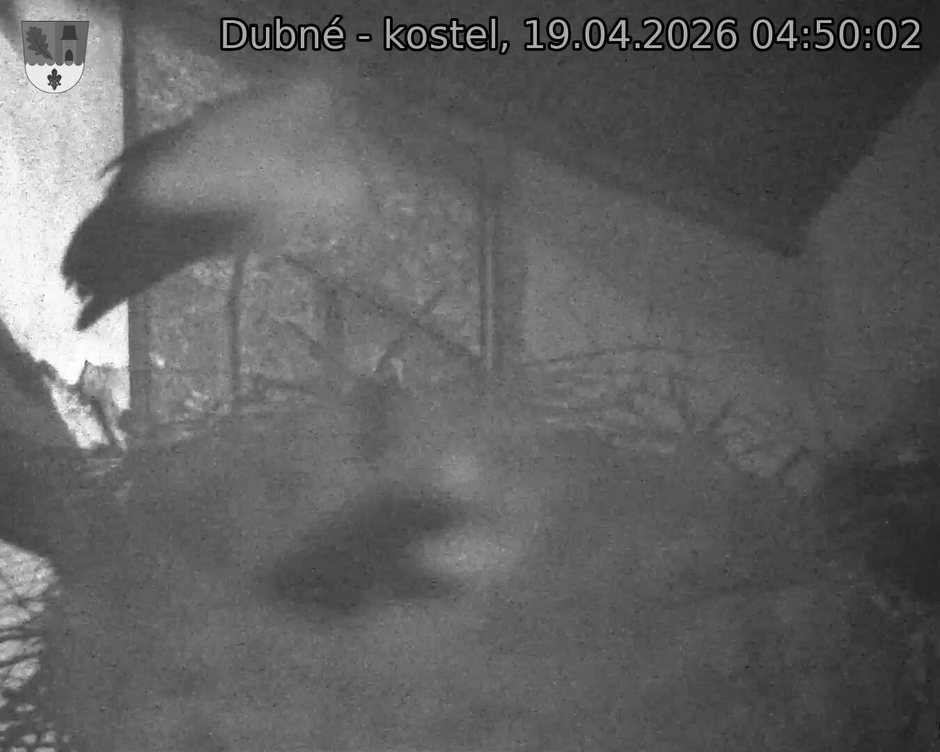Capi_Dubne_20260419_045002.jpg (1350&nbsp;x&nbsp;1080)