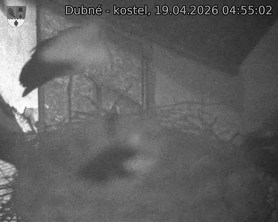 Capi_Dubne_20260419_045502.jpg (1350&nbsp;x&nbsp;1080)