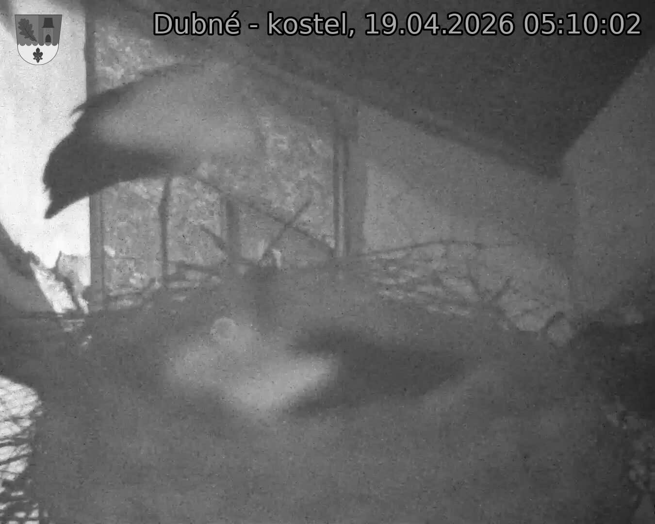 Capi_Dubne_20260419_051002.jpg (1350&nbsp;x&nbsp;1080)