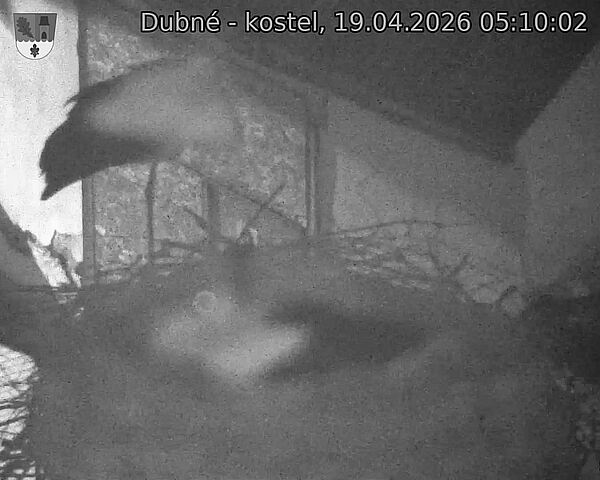 Capi_Dubne_20260419_051002.jpg (1350&nbsp;x&nbsp;1080)