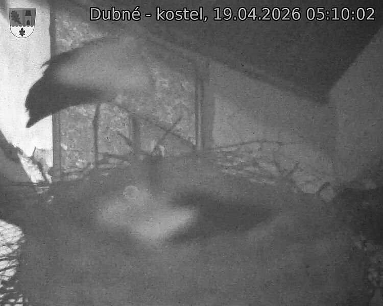 Capi_Dubne_20260419_051002.jpg (1350&nbsp;x&nbsp;1080)