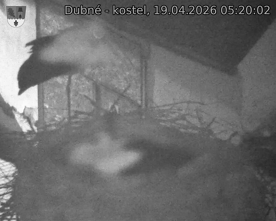 Capi_Dubne_20260419_052002.jpg (1350&nbsp;x&nbsp;1080)
