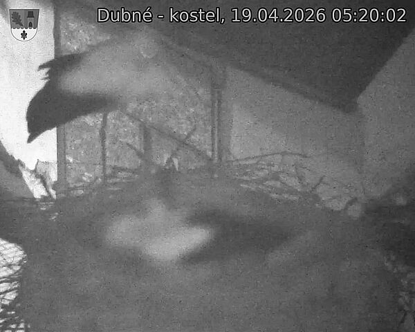 Capi_Dubne_20260419_052002.jpg (1350&nbsp;x&nbsp;1080)