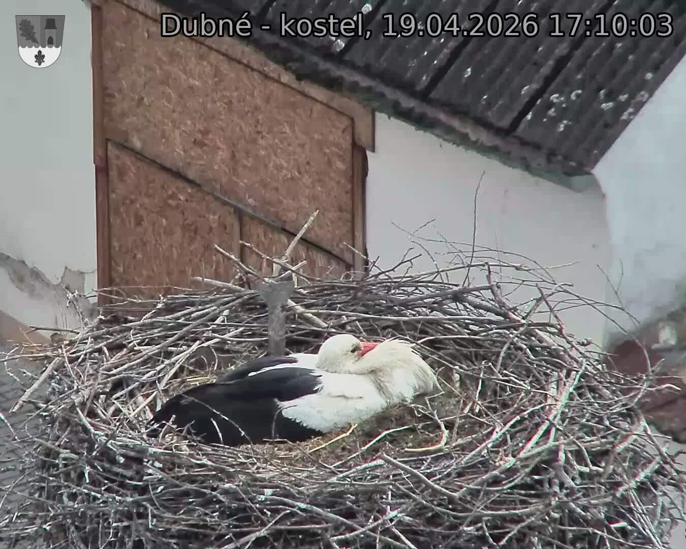 Capi_Dubne_20260419_171003.jpg (1350&nbsp;x&nbsp;1080)