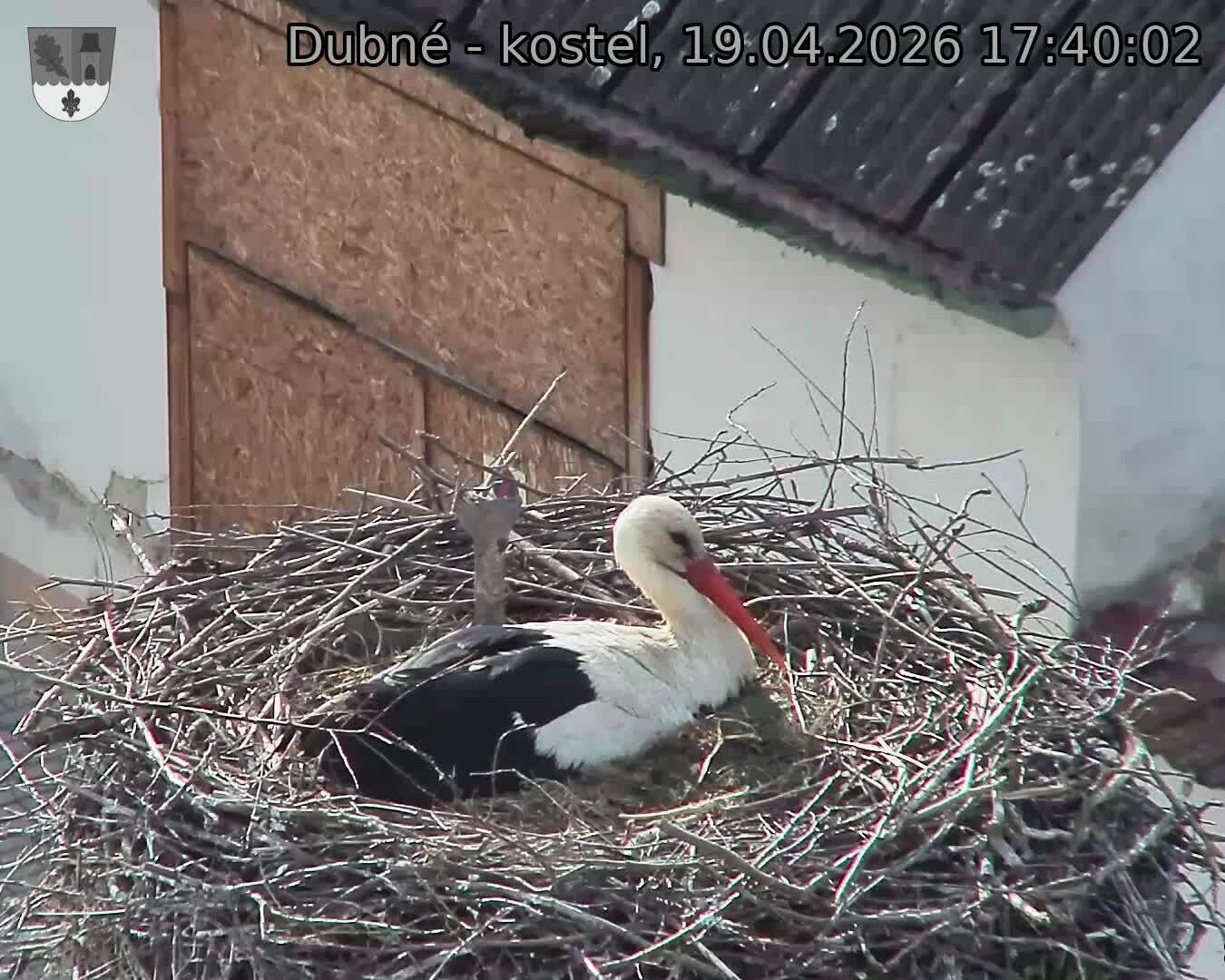 Capi_Dubne_20260419_174002.jpg (1350&nbsp;x&nbsp;1080)
