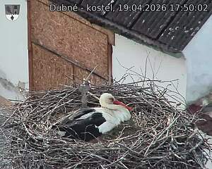 Capi_Dubne_20260419_175002.jpg (1350&nbsp;x&nbsp;1080)