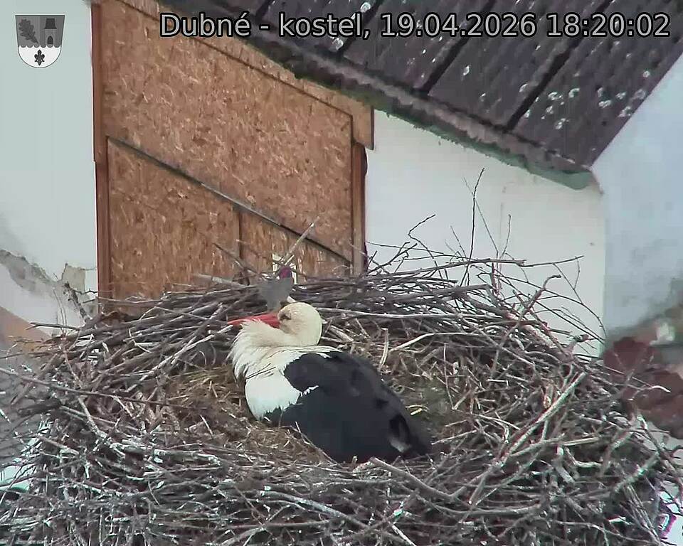 Capi_Dubne_20260419_182002.jpg (1350&nbsp;x&nbsp;1080)