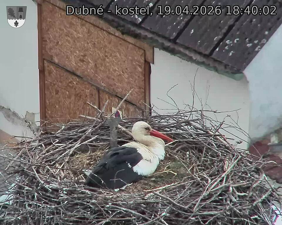 Capi_Dubne_20260419_184002.jpg (1350&nbsp;x&nbsp;1080)