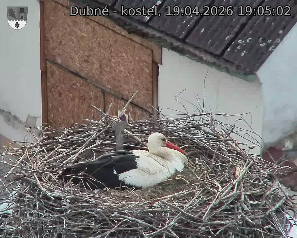 Capi_Dubne_20260419_190502.jpg (1350&nbsp;x&nbsp;1080)