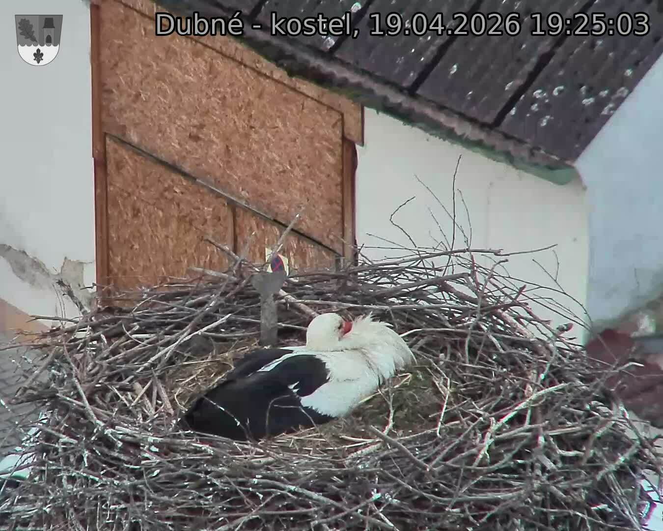 Capi_Dubne_20260419_192503.jpg (1350&nbsp;x&nbsp;1080)