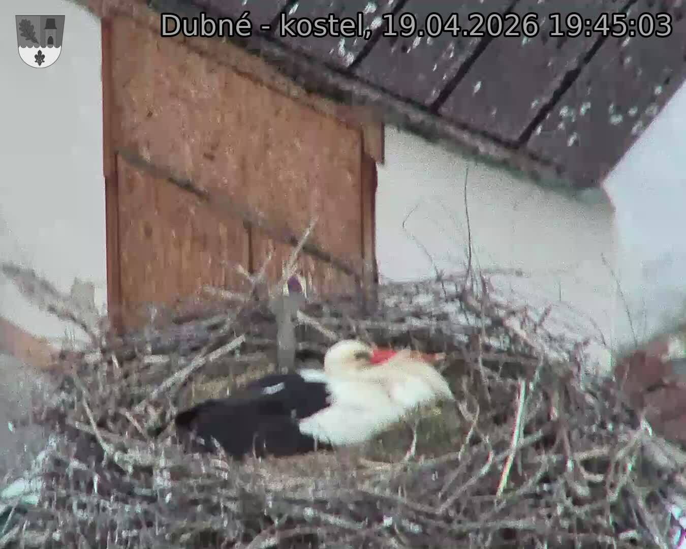 Capi_Dubne_20260419_194503.jpg (1350&nbsp;x&nbsp;1080)