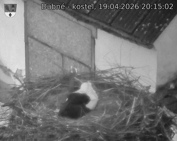Capi_Dubne_20260419_201502.jpg (1350&nbsp;x&nbsp;1080)