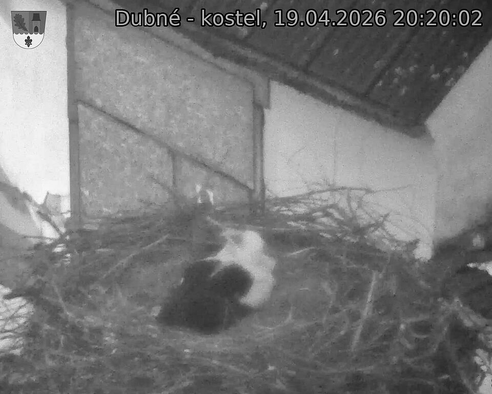 Capi_Dubne_20260419_202002.jpg (1350&nbsp;x&nbsp;1080)