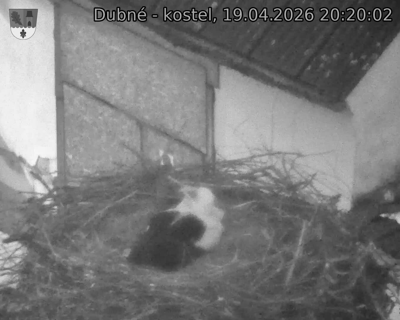 Capi_Dubne_20260419_202002.jpg (1350&nbsp;x&nbsp;1080)