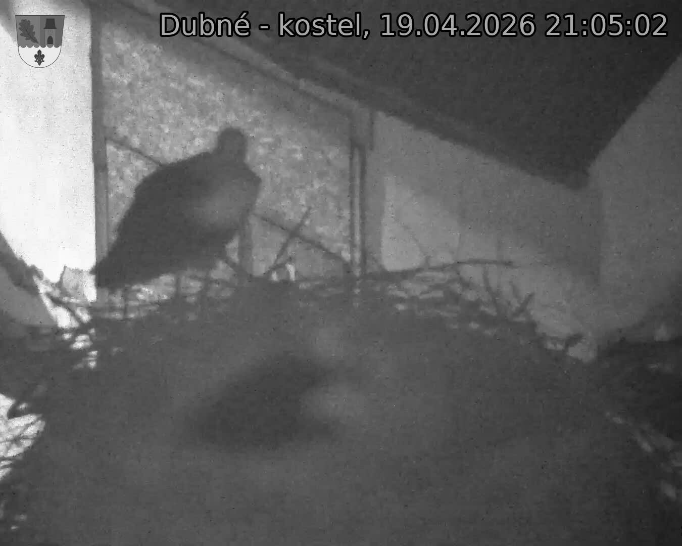 Capi_Dubne_20260419_210502.jpg (1350&nbsp;x&nbsp;1080)