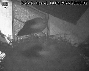 Capi_Dubne_20260419_231502.jpg (1350&nbsp;x&nbsp;1080)